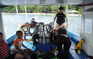 PREPARING TO DIVE - click image to enlarge